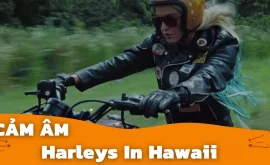 Cảm Âm HARLEYS IN HAWAII | Katy Perry | Sáo Trúc Hoàng Anh Chuẩn Nhất