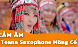 Cảm Âm Người Mông Cổ | (蒙古人) Teana Saxophone Mông Cổ | Nhiều Tone | Dễ Thổi Chuẩn Nhất