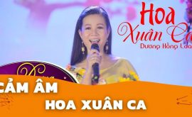 Cảm Âm Hoa Xuân Ca | Trịnh Công Sơn | Sáo C5 Chuẩn Nhất